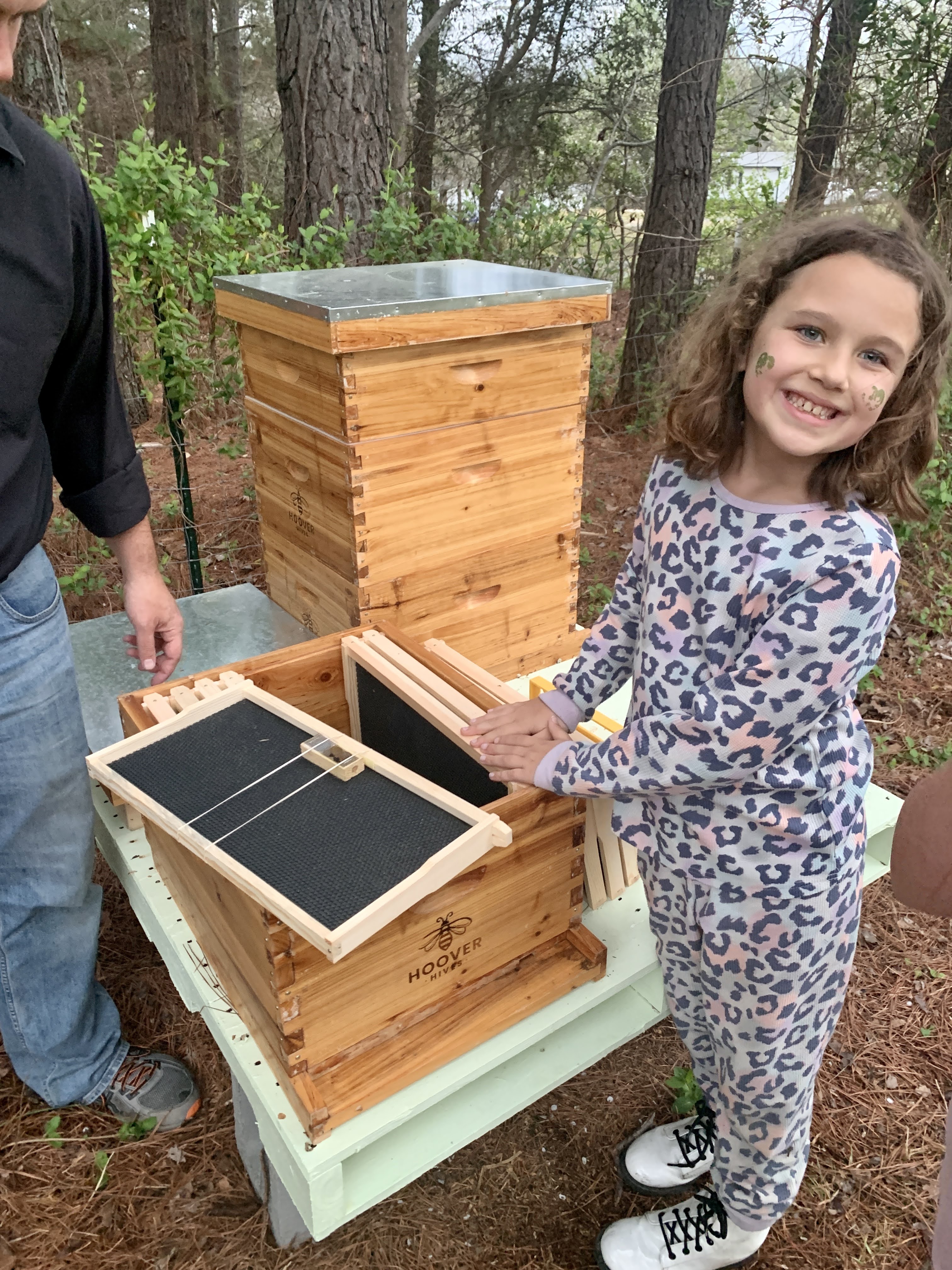 Honey Bees
